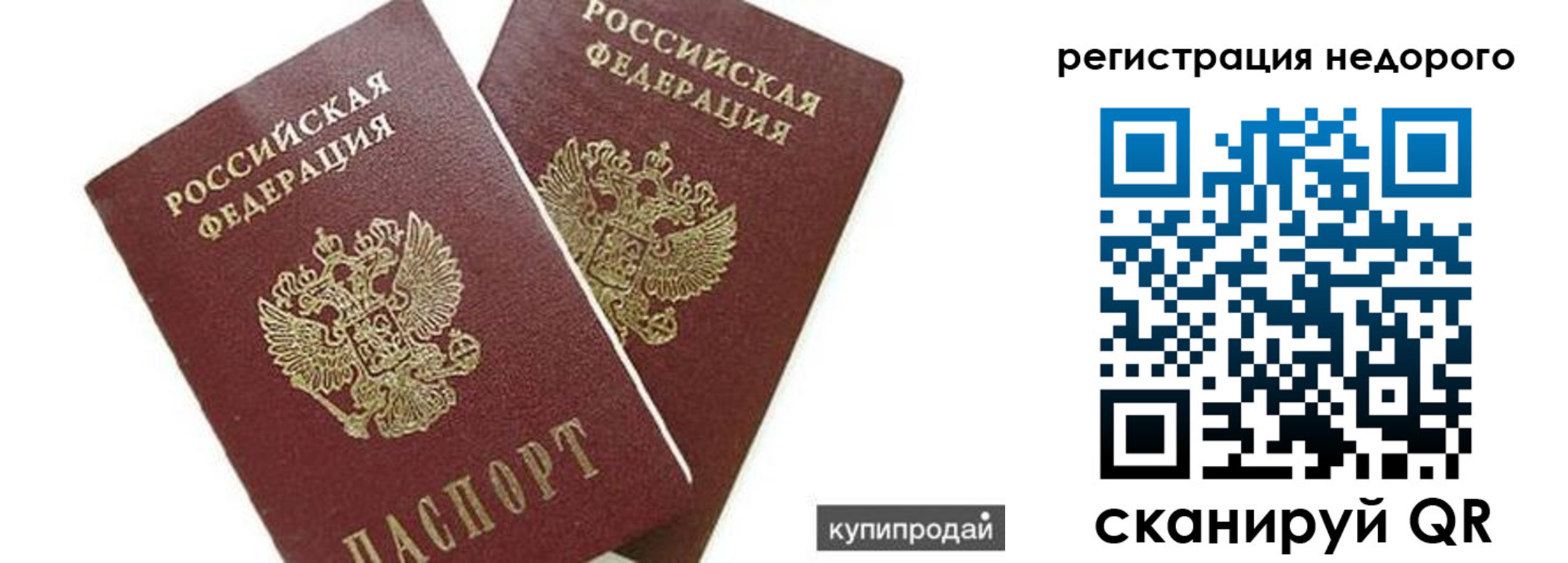 прописка поиск в Стародубе